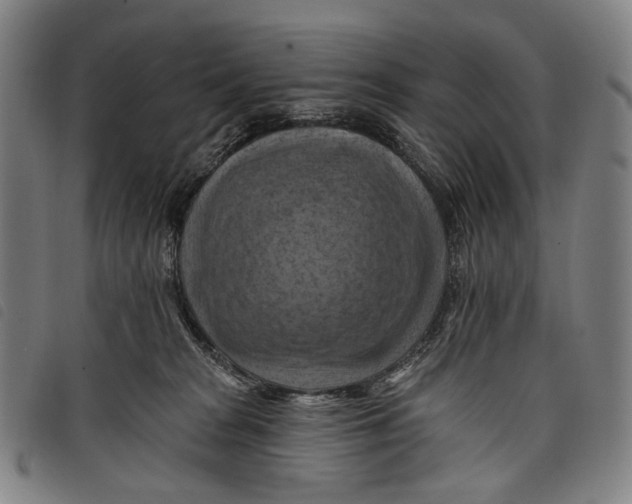 X0000097830277200804041428