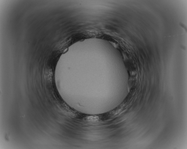 X0000097830279200804041428