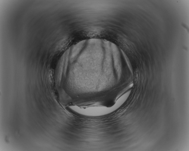 X0000097830280200804041428