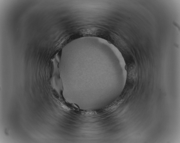 X0000097830282200804041428