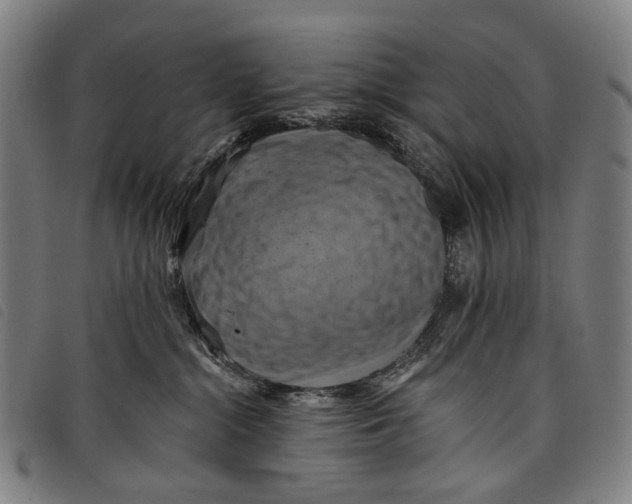 X0000097830284200804041428