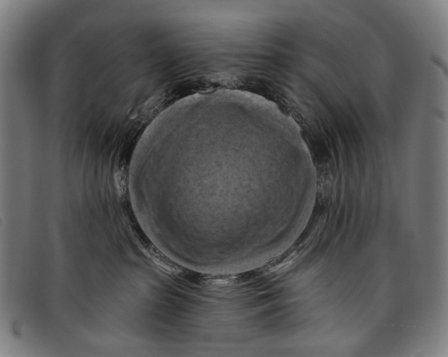 X0000097830285200804041428