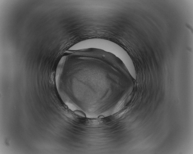 X0000097830286200804041428