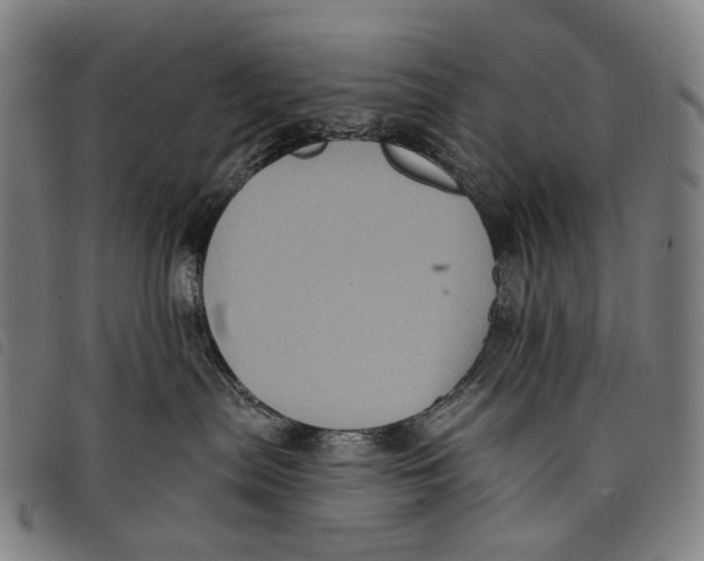 X0000097830287200804041428