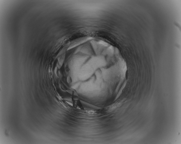 X0000097830288200804041428