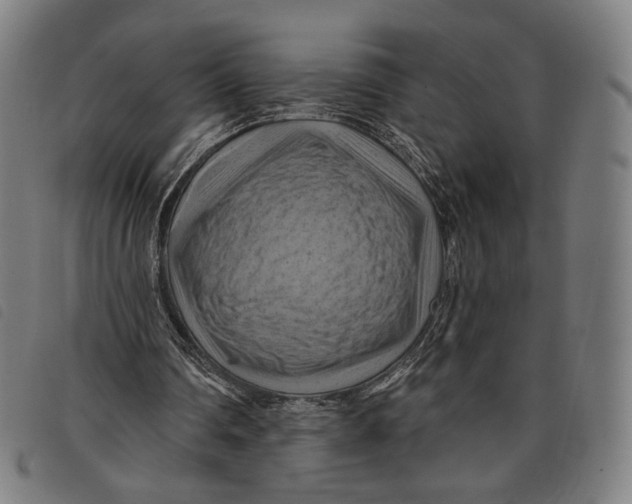 X0000097830290200804041427