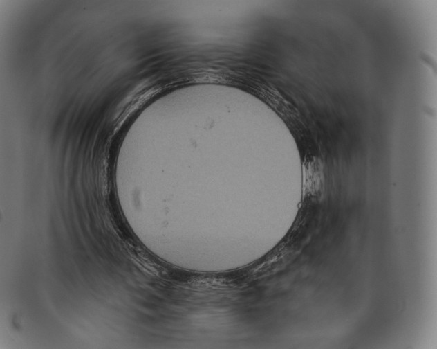 X0000097830291200804041427