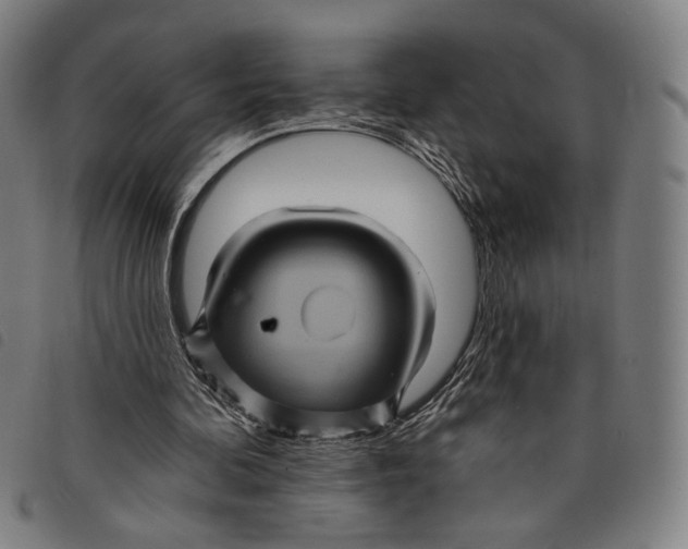 X0000097830292200804041427