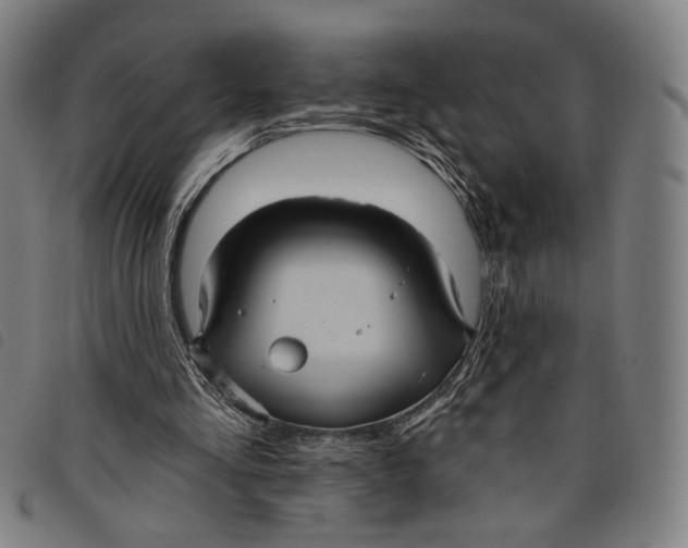 X0000097830293200804041427