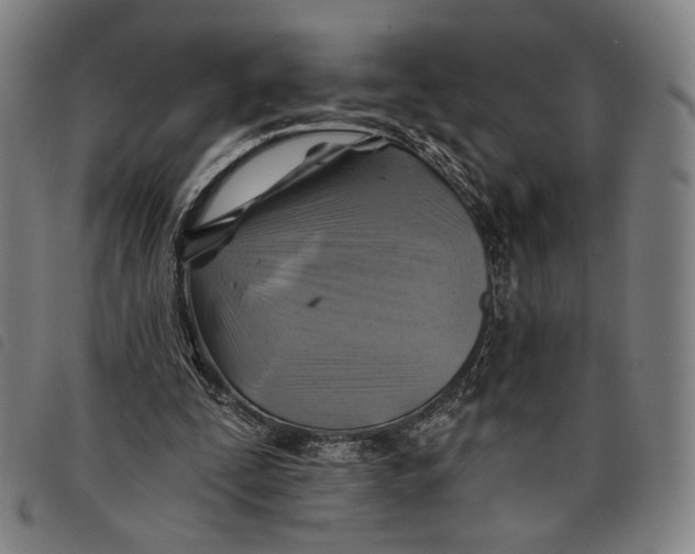 X0000097830295200804041427