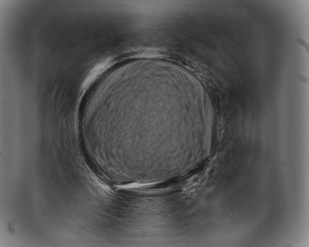 X0000097830296200804041427