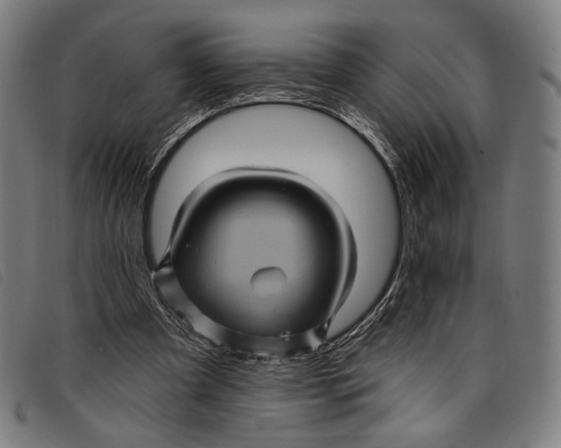 X0000097830297200804041427