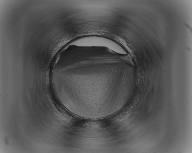 X0000097830299200804041427