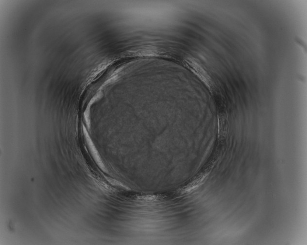 X0000097830301200804041427