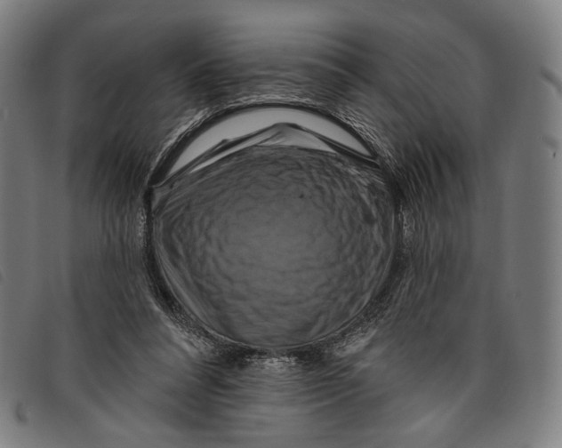 X0000097830304200804041427