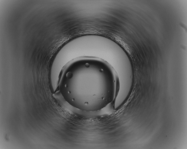 X0000097830305200804041427