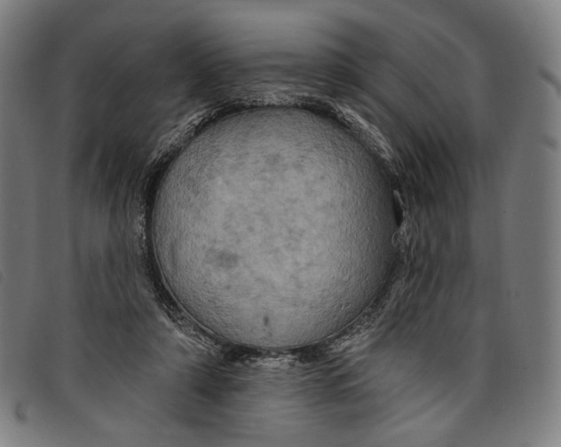 X0000097830306200804041427