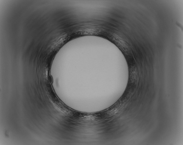 X0000097830310200804041427