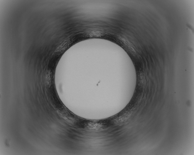 X0000097830311200804041427