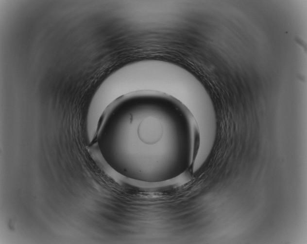 X0000097830316200804041427