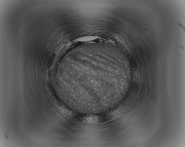 X0000097830317200804041427