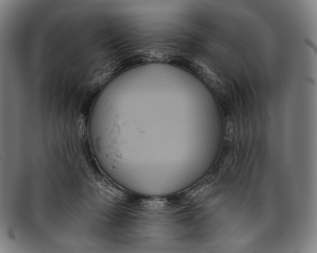 X0000097830318200804041427