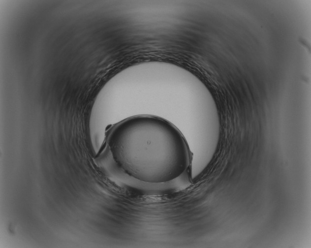 X0000097830320200804041426