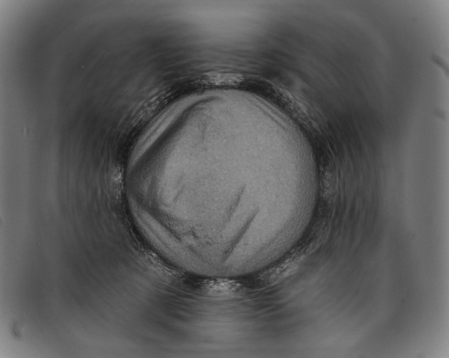 X0000097830321200804041426