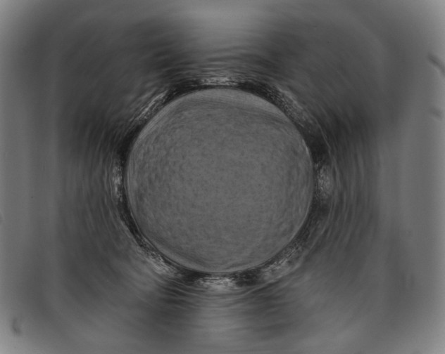 X0000097830322200804041426