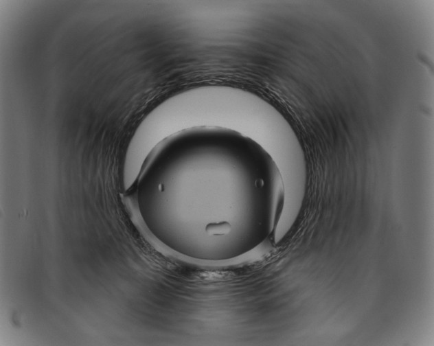 X0000097830323200804041426