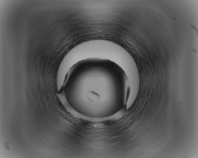 X0000097830324200804041426