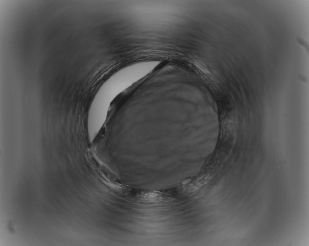 X0000097830325200804041426