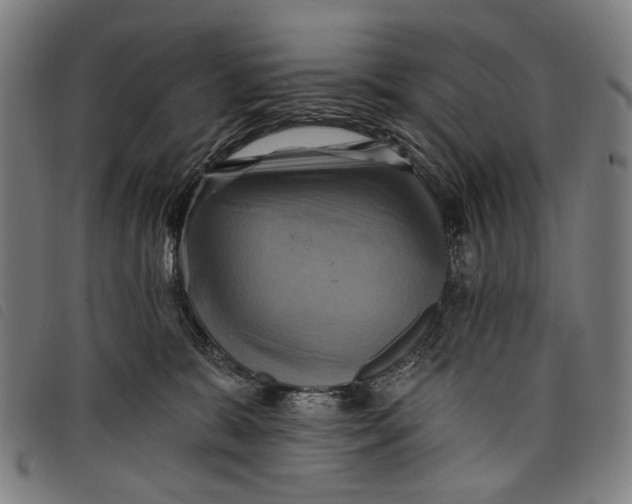 X0000097830327200804041426