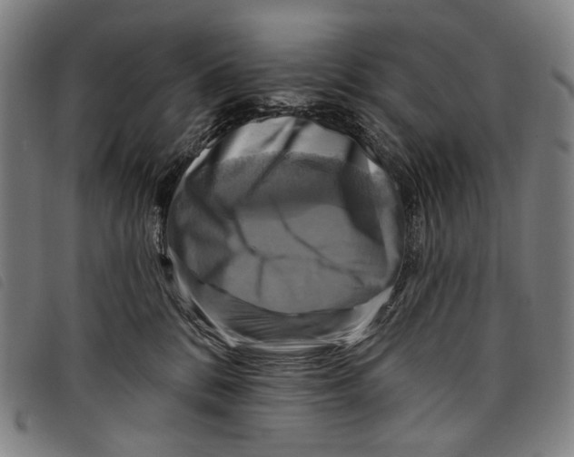 X0000097830328200804041426