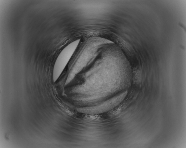 X0000097830329200804041426