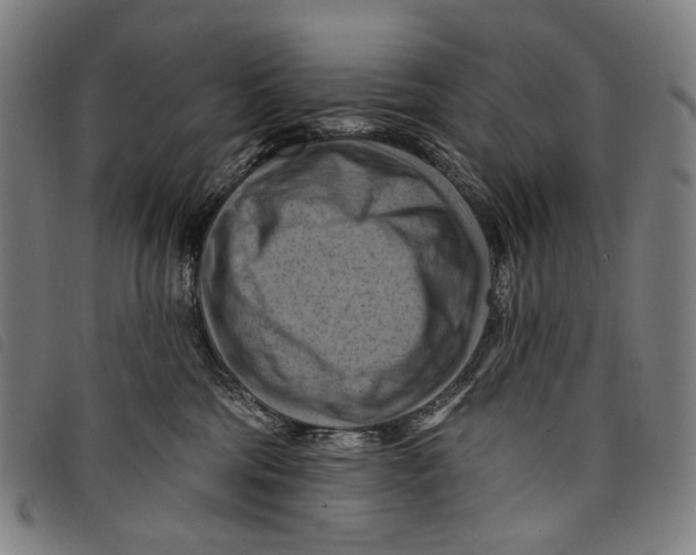 X0000097830330200804041426