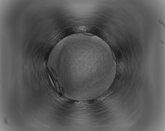 X0000097830331200804041426