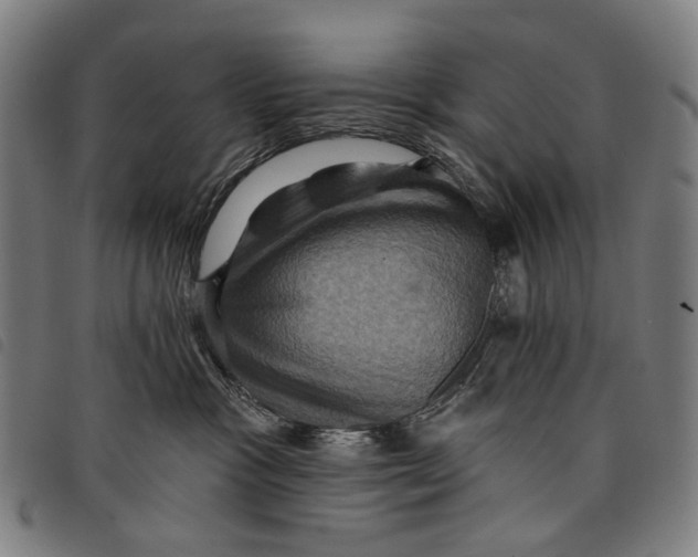 X0000097830333200804041426