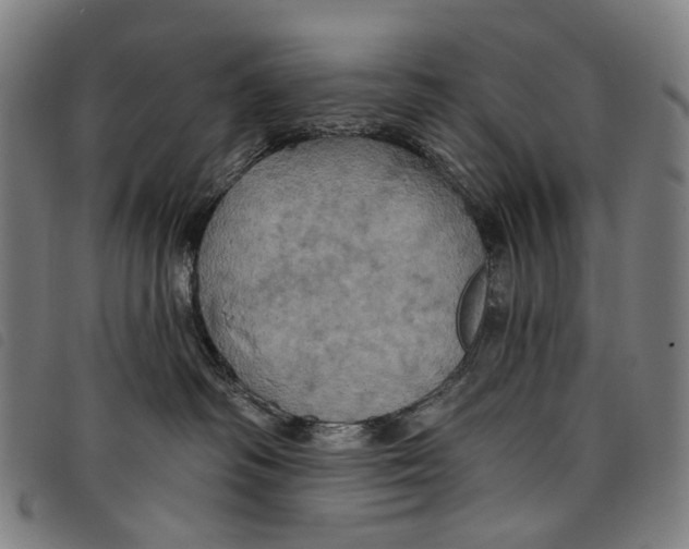 X0000097830334200804041426