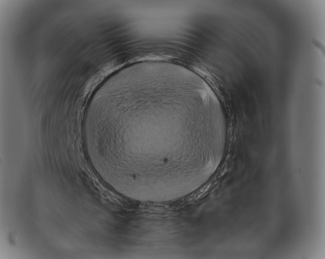 X0000097830337200804041426