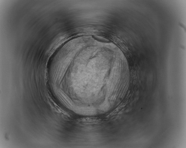 X0000097830338200804041426