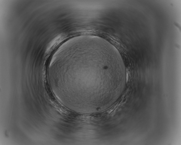 X0000097830339200804041426