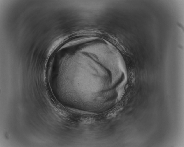 X0000097830340200804041426