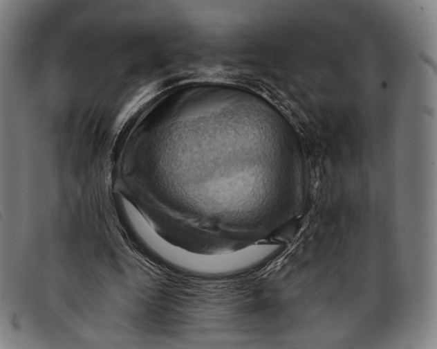 X0000097830344200804041426