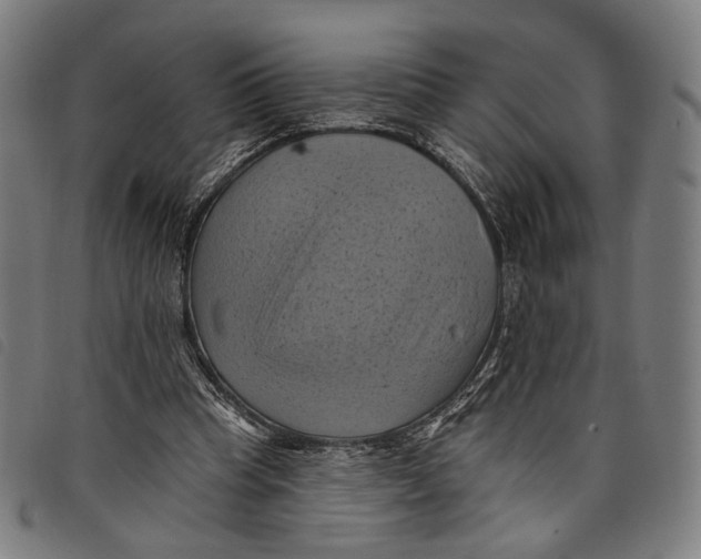 X0000097830345200804041426