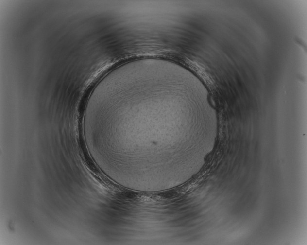 X0000097830346200804041426