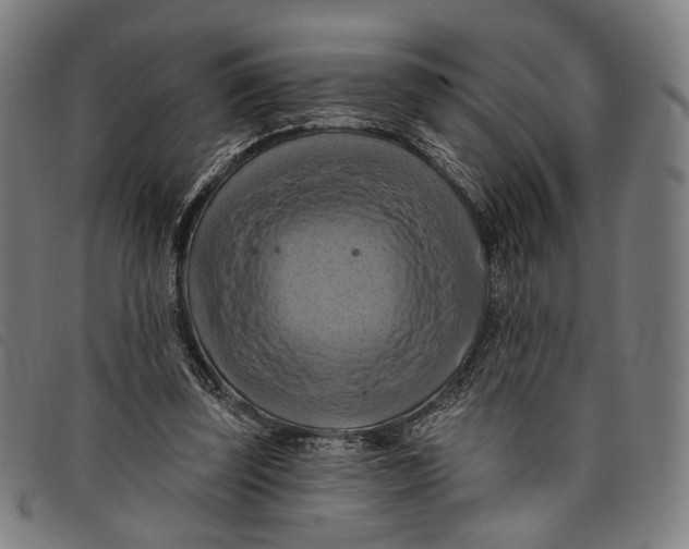 X0000097830347200804041426