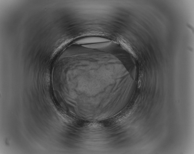 X0000097830348200804041426