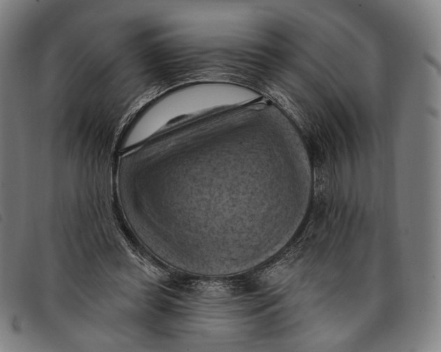 X0000097830349200804041426