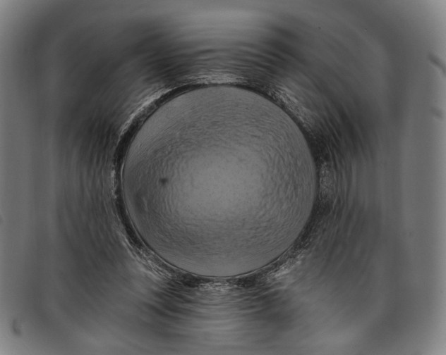 X0000097830351200804041426